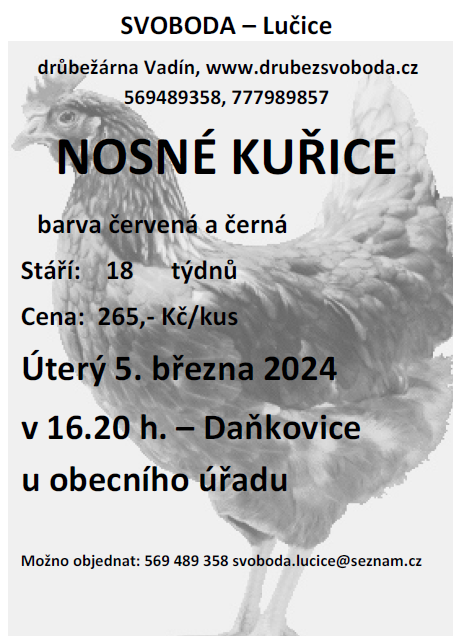 Leták